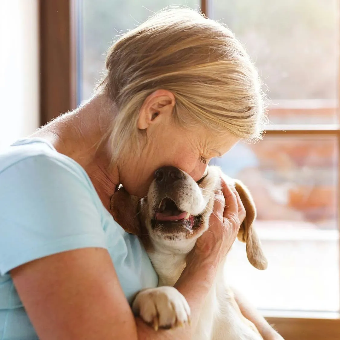 From Companion to Pack Leader: Key Distinctions in Dog Ownership