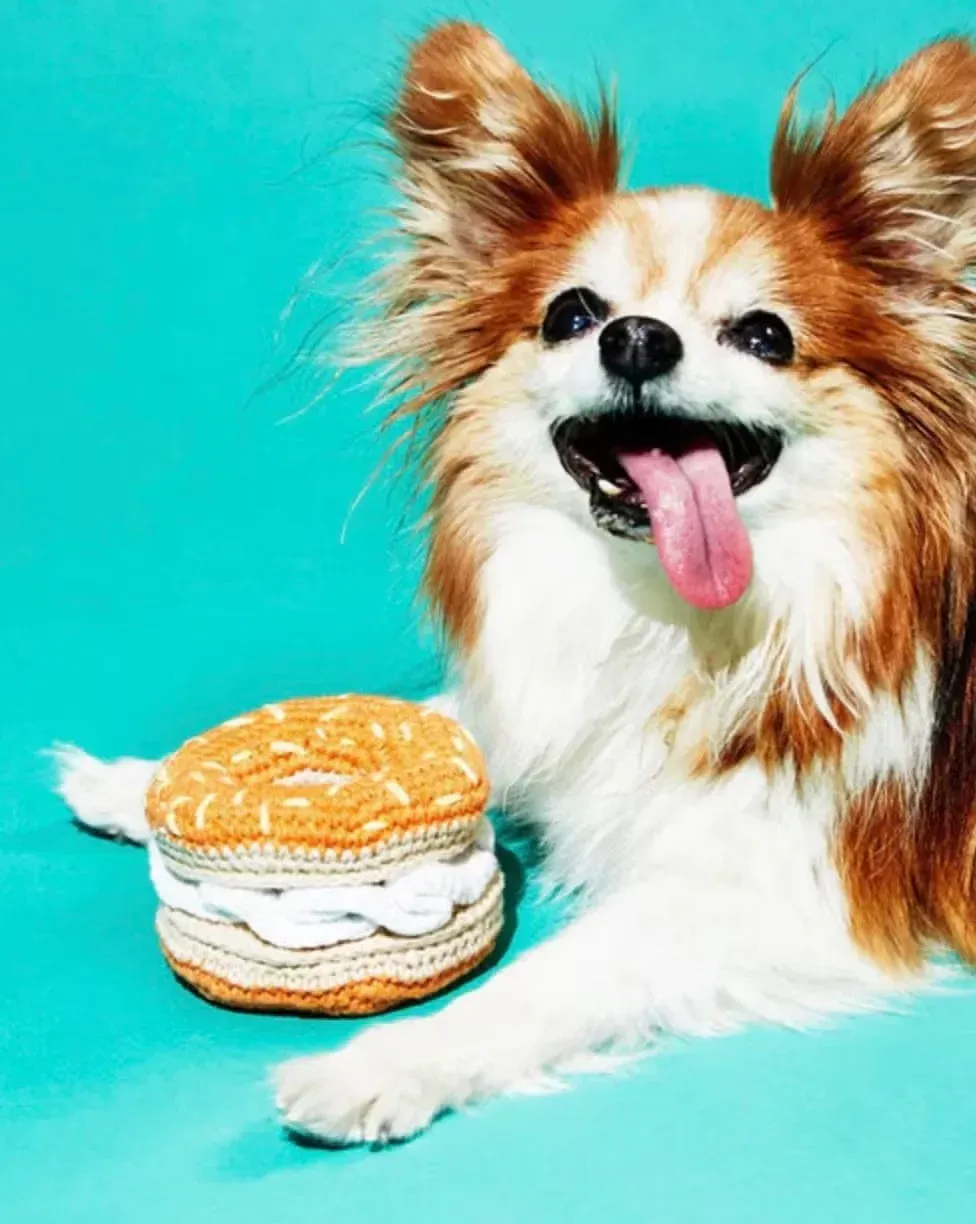 Schmear Delight Bagel Dog Toy