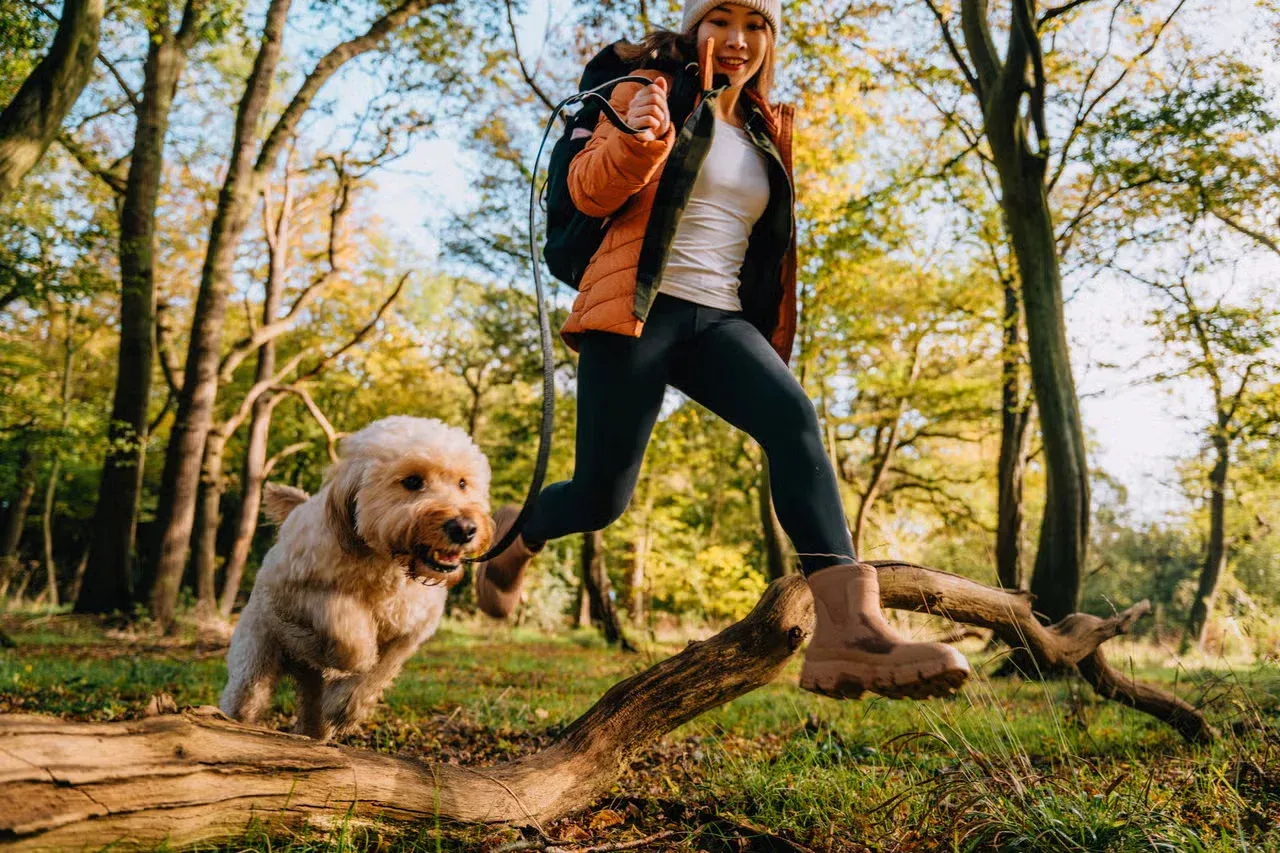 A dog that loves the outdoors bonding with its owner on a hike.