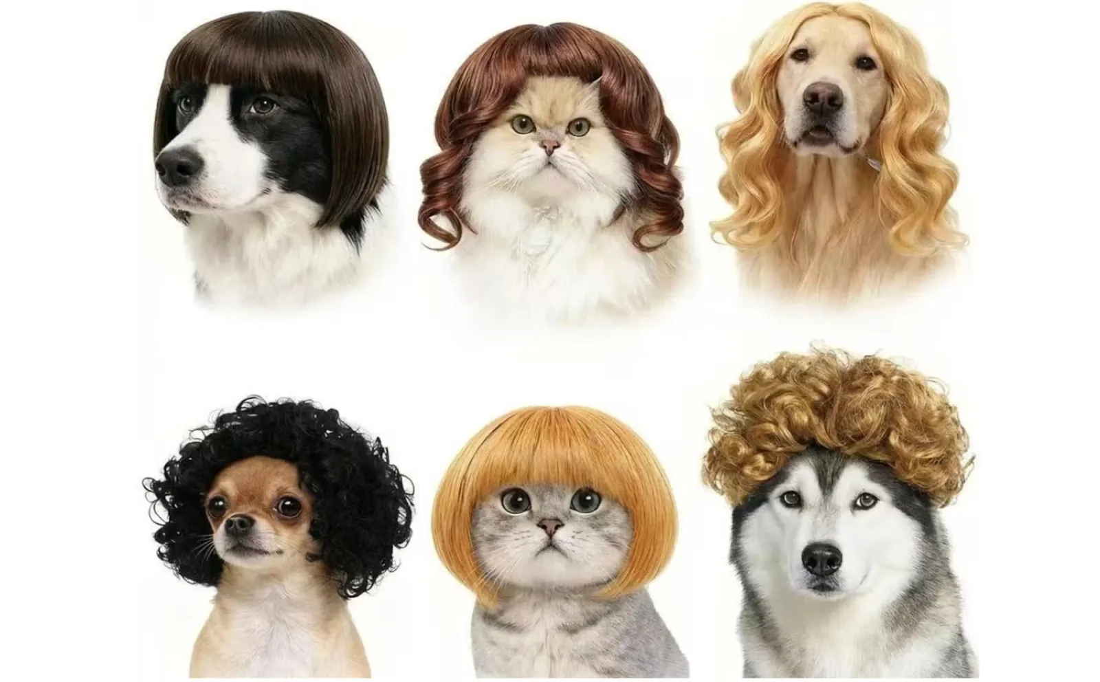 Amazon pet Wigs