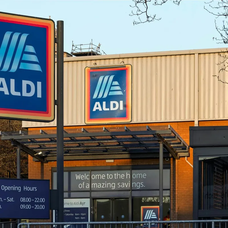Aldi Debuts Orthopedic Boucle Pet Beds for Chilly Days