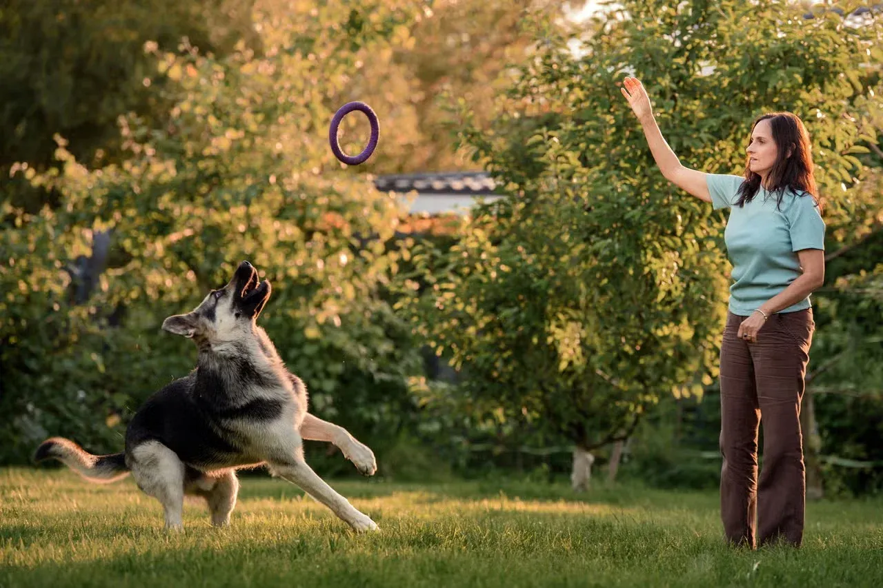 A dog parent boding with their dog by playing.