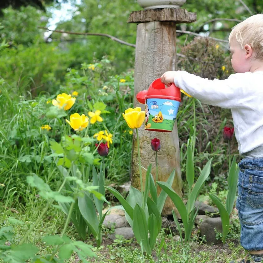 Supporting Kids Through the Loss of an Animal Companion