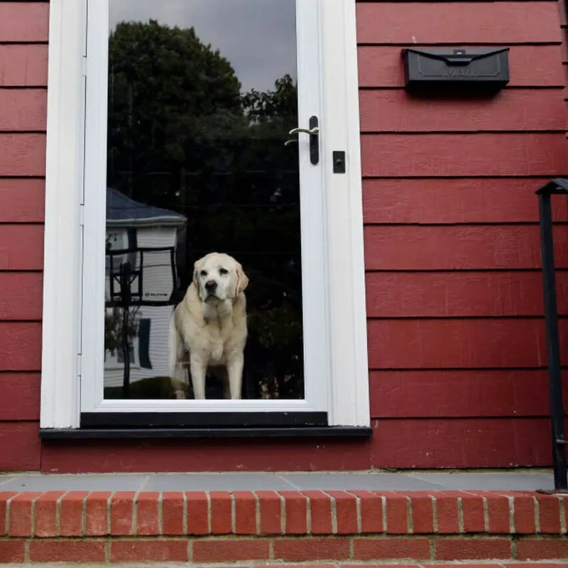 The Expert-Approved Way to Reassure Your Dog You'll Return
