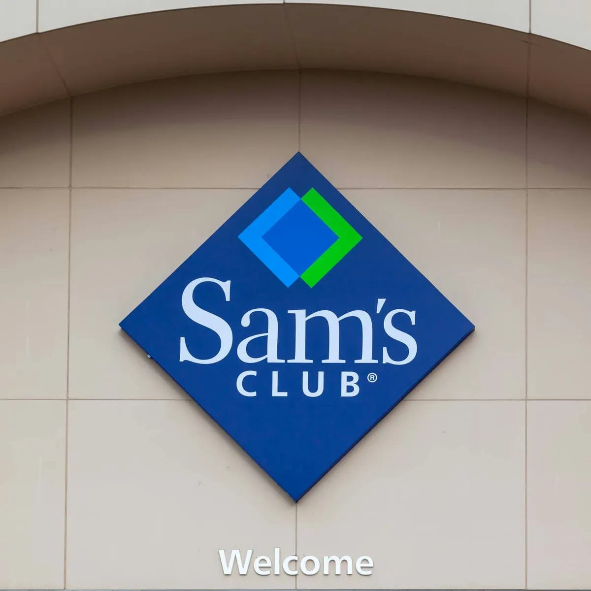 Sam's Club Offers Affordable Set of Three Alpaca Plush Dog Toys