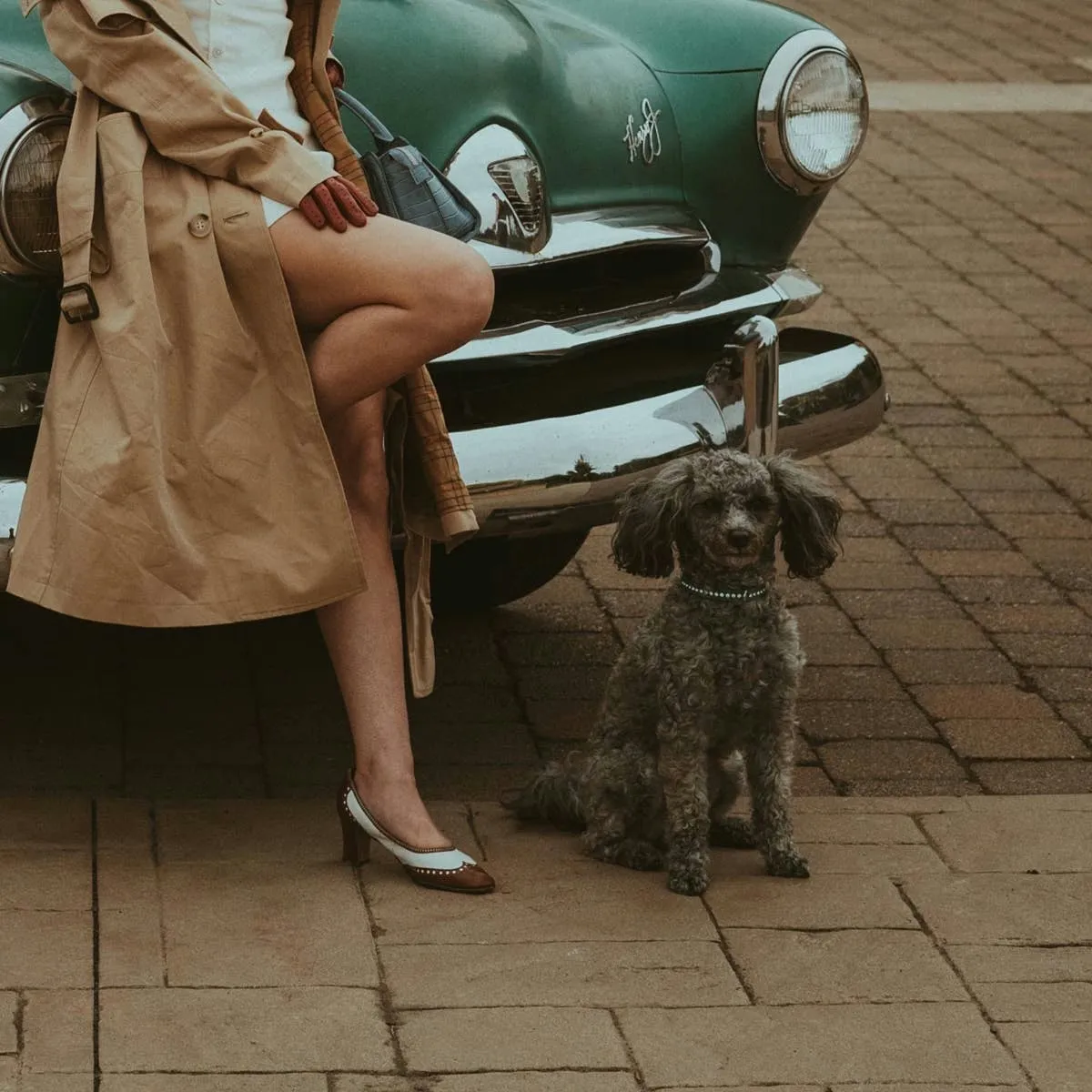 Naming Your Pup After a Famous Face: Over 50 Suggestions
