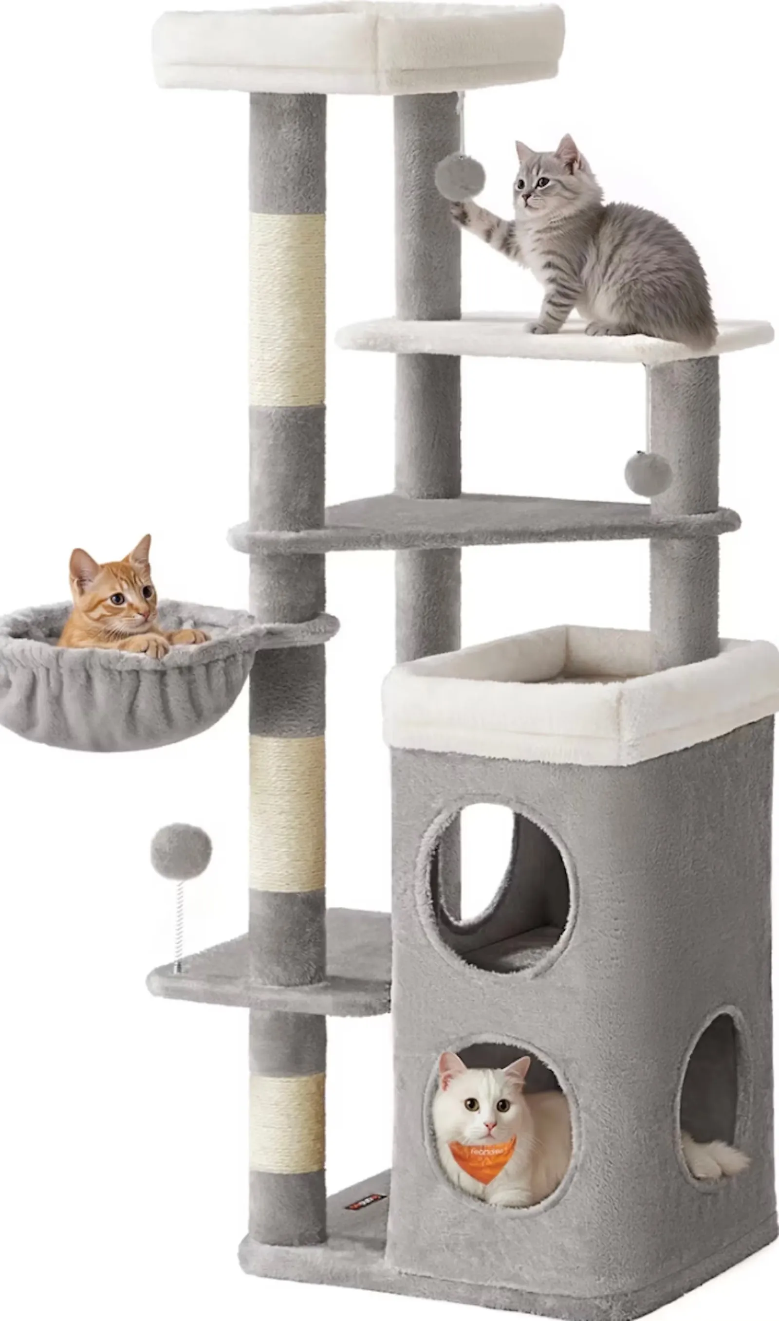 Chewy cat apartment details
