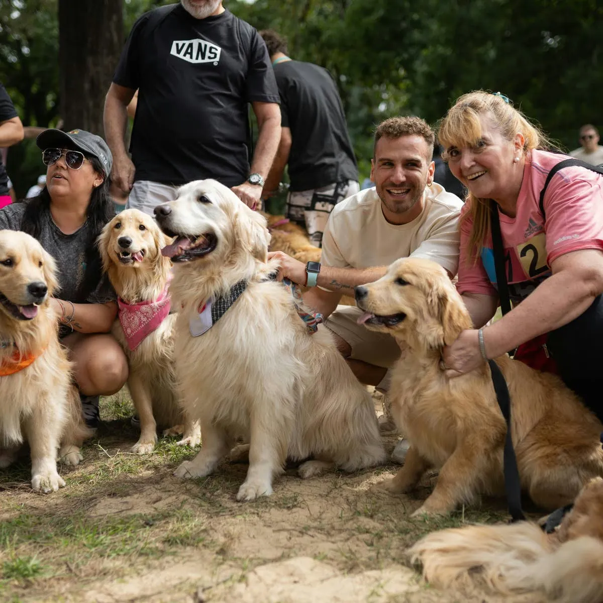 Argentina Park Hosts 2,397 Golden Retrievers in Unofficial World Record Meetup