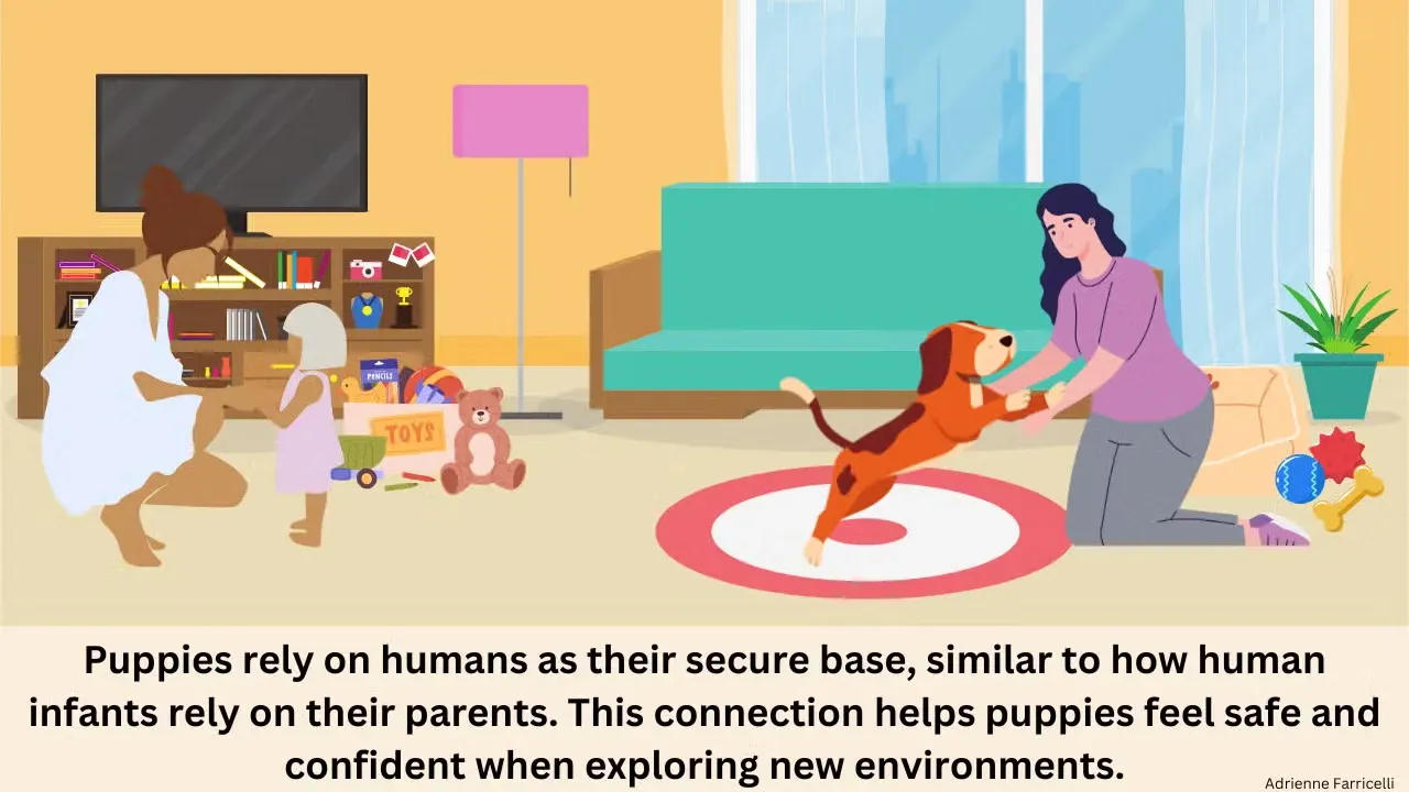 Infographic: puppies and babies