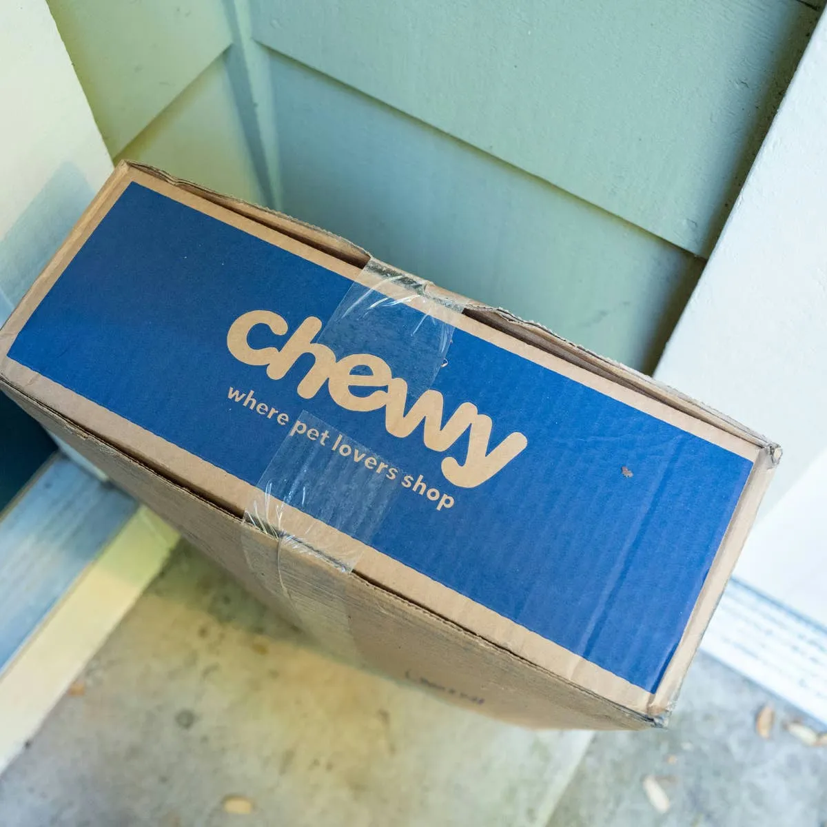 Chewy Deal: Enzyme-Powered Pet Stain and Odor Remover for Less Than $12