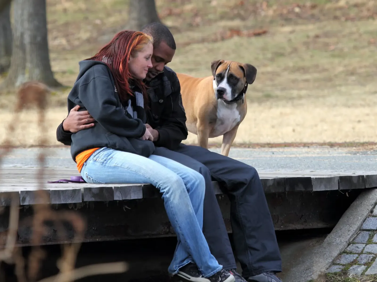 Dog looking at couple hugging like a prom chaperone