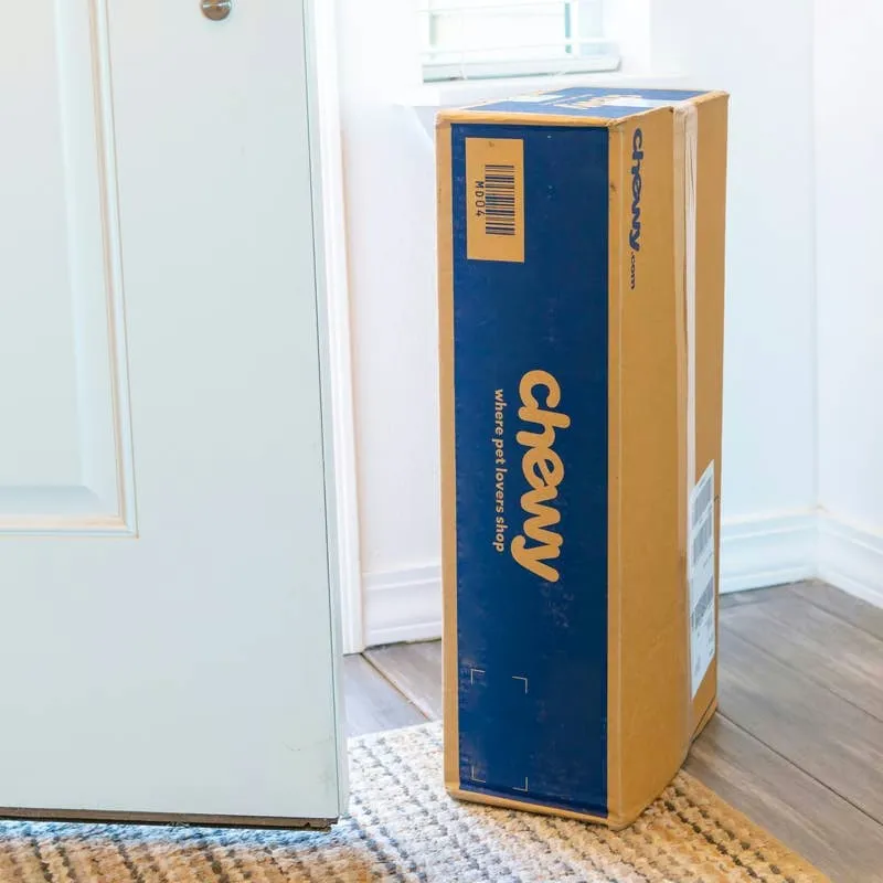 Chewy Is Selling a Cat Scratching Post Shaped Like a Palm Tree