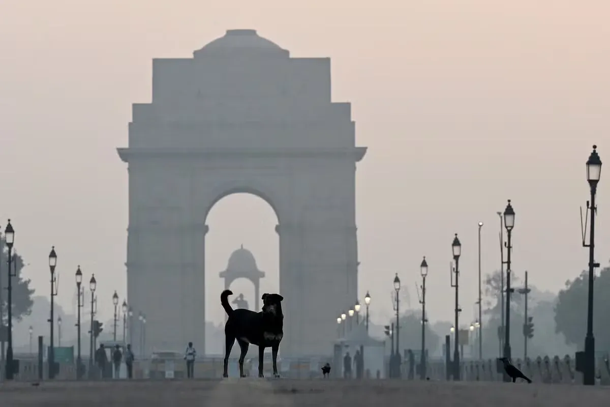 A dog by the India Gate in New Dehli who has a Desi name.