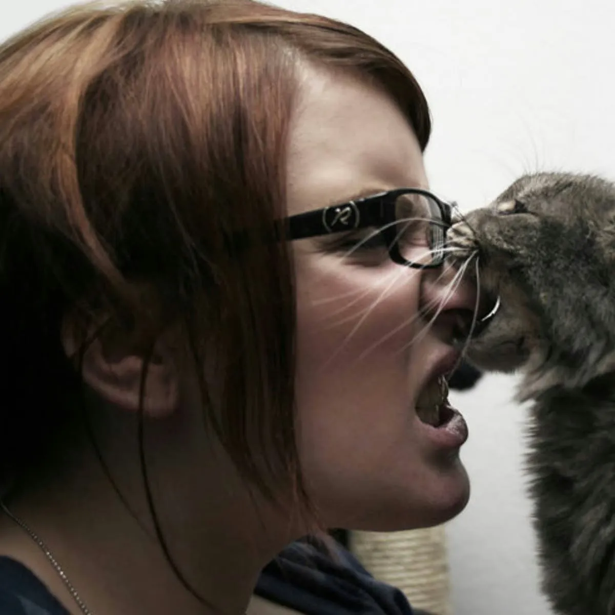 Understanding Why Your Feline Friend Nips: Play Aggression vs. Affectionate Bites