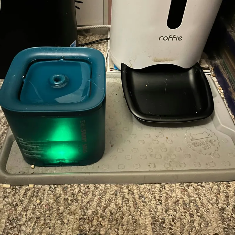 Creative Ways to Encourage Your Feline to Drink More Water