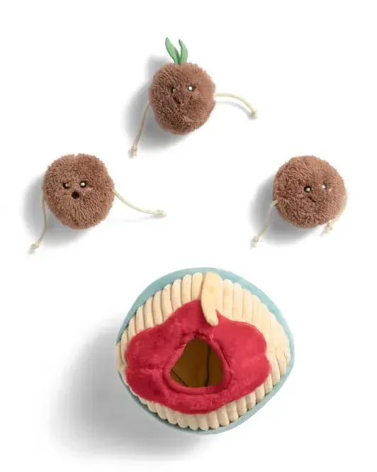 ZippyPaws Burrow Spaghetti And Meatballs Pet Toy Set
